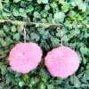 Your Fashion Wholesale Pom Pom Earrings - Pink